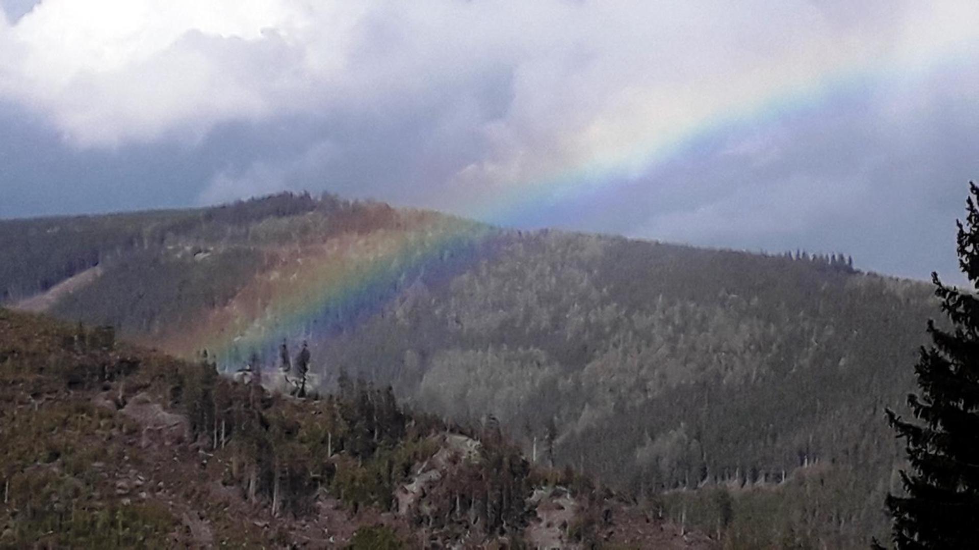 Pobyt v Krkonoších v blízkosti Pece pod Sněžkou
