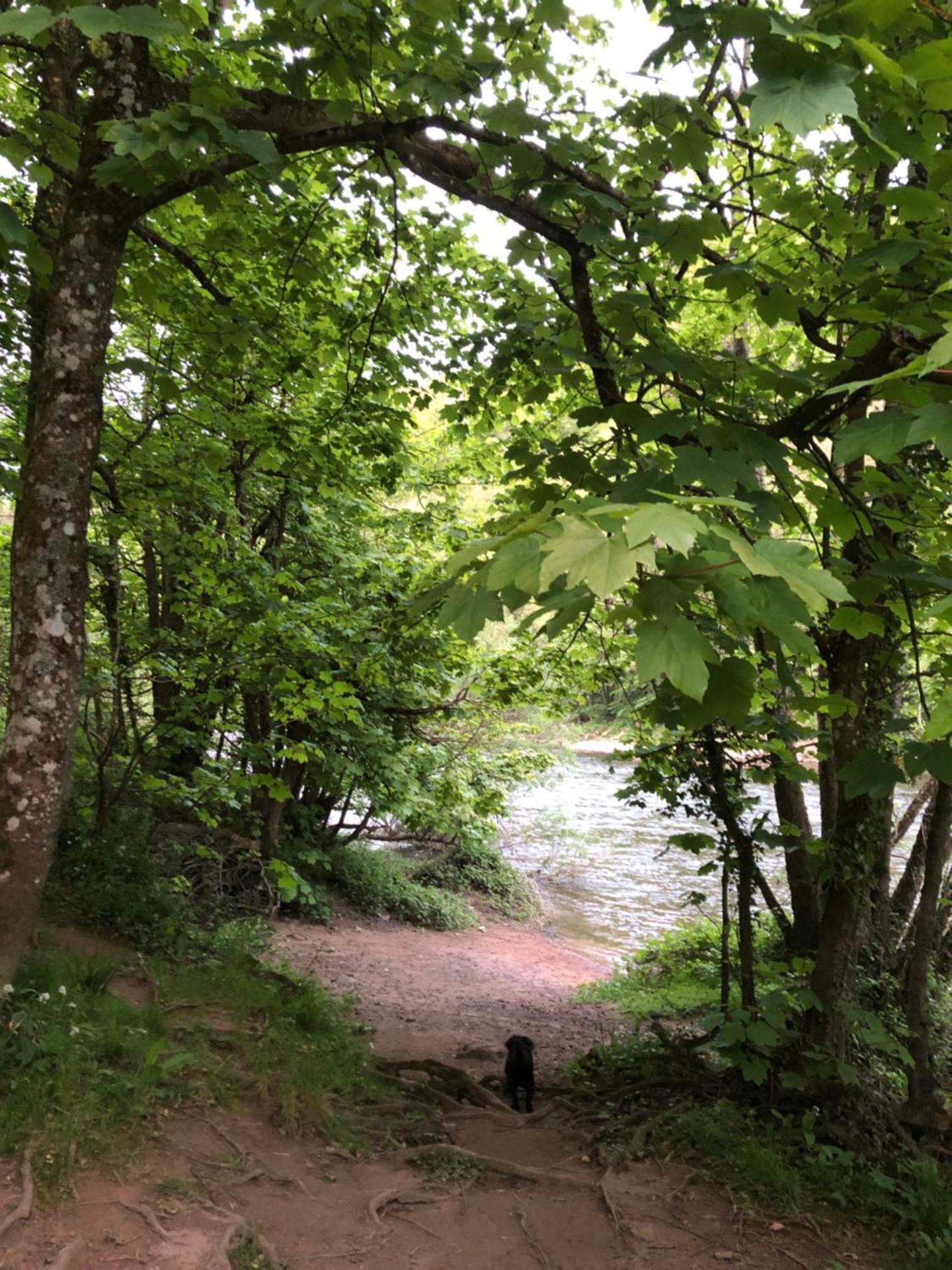 Symonds Yat - Herefordshire property with stunning views