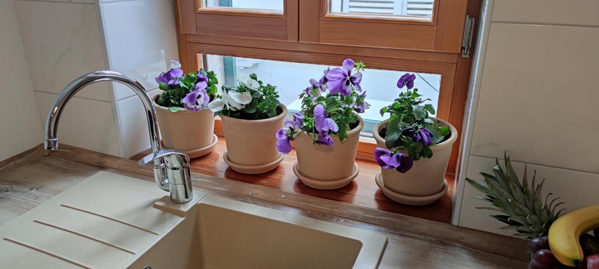 Apartment City Center