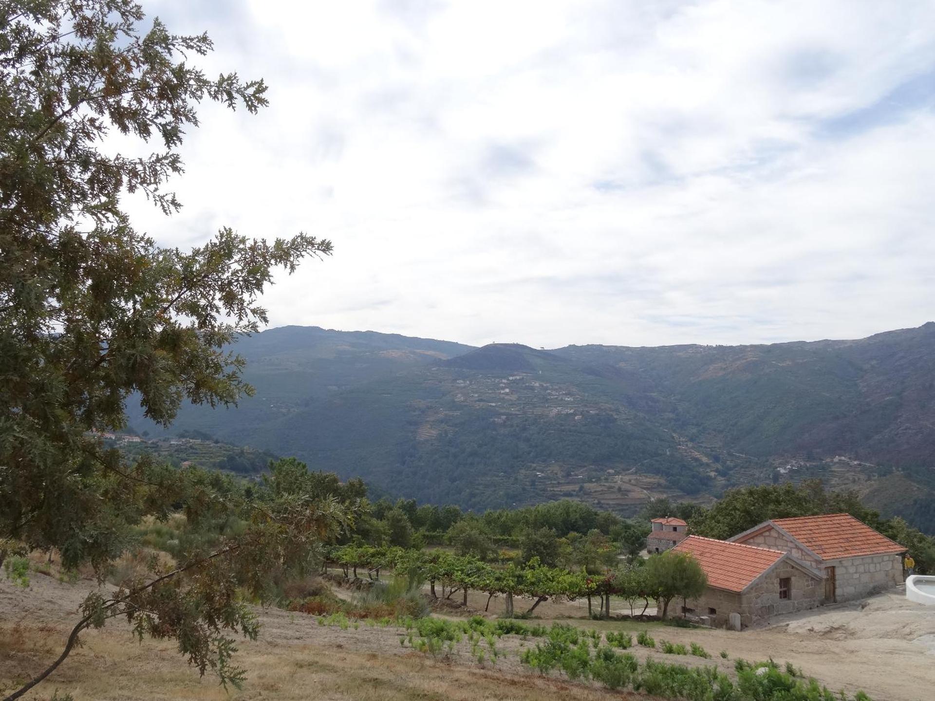Quinta de S. Cipriano
