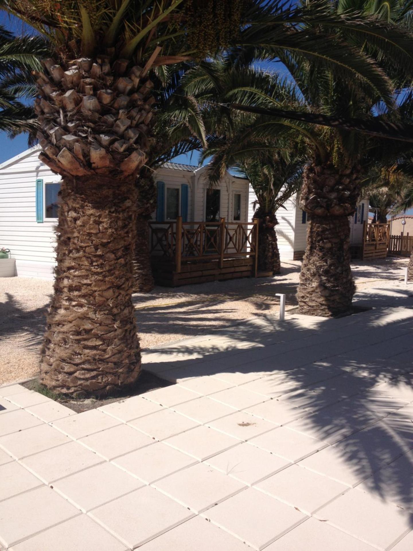 FLAMANTS ROSES 1 pers 6