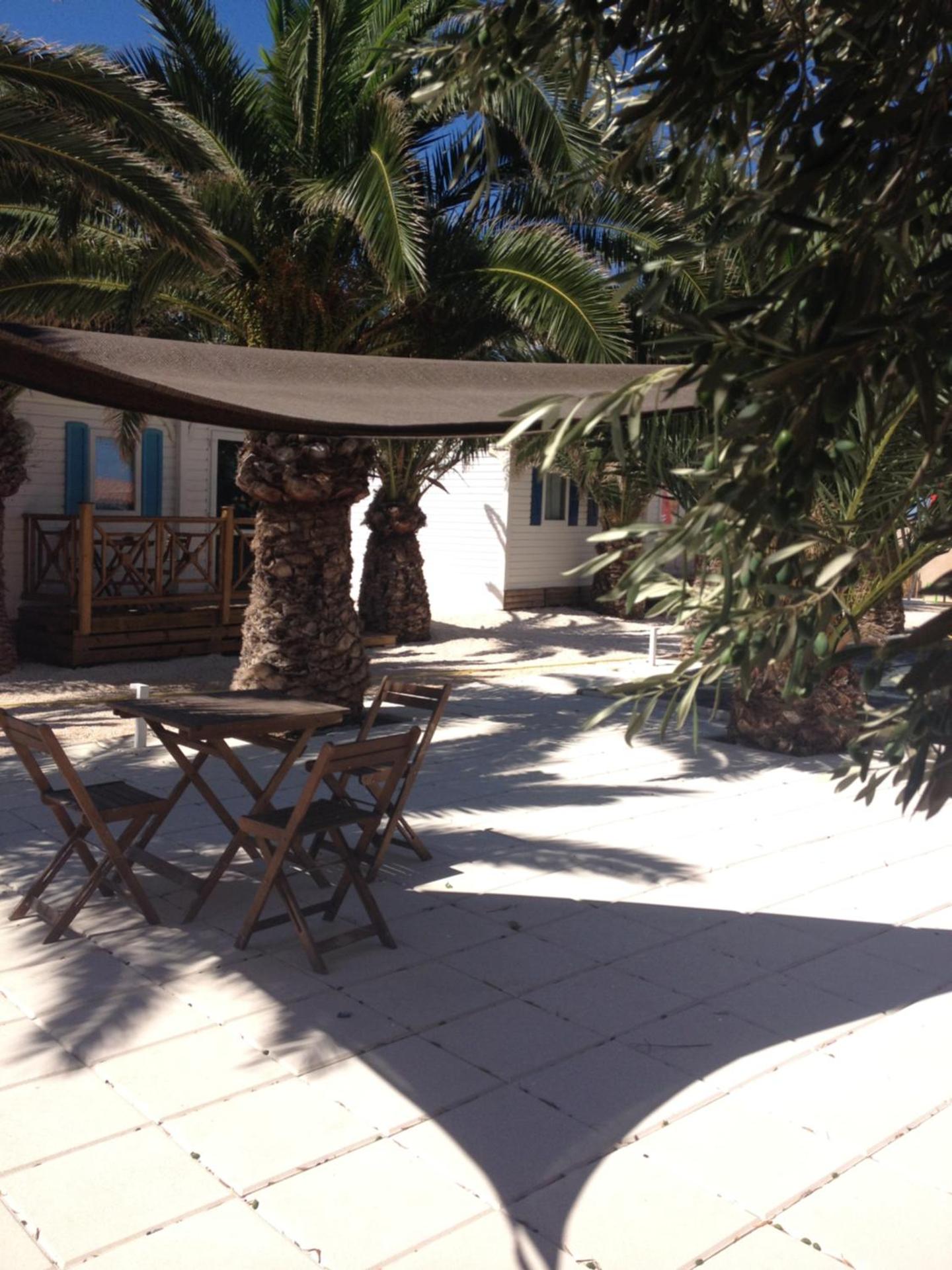 FLAMANTS ROSES 1 pers 6