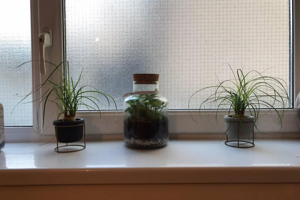 Tranquil Welsh Mountain Gem, Abertillery, Wales