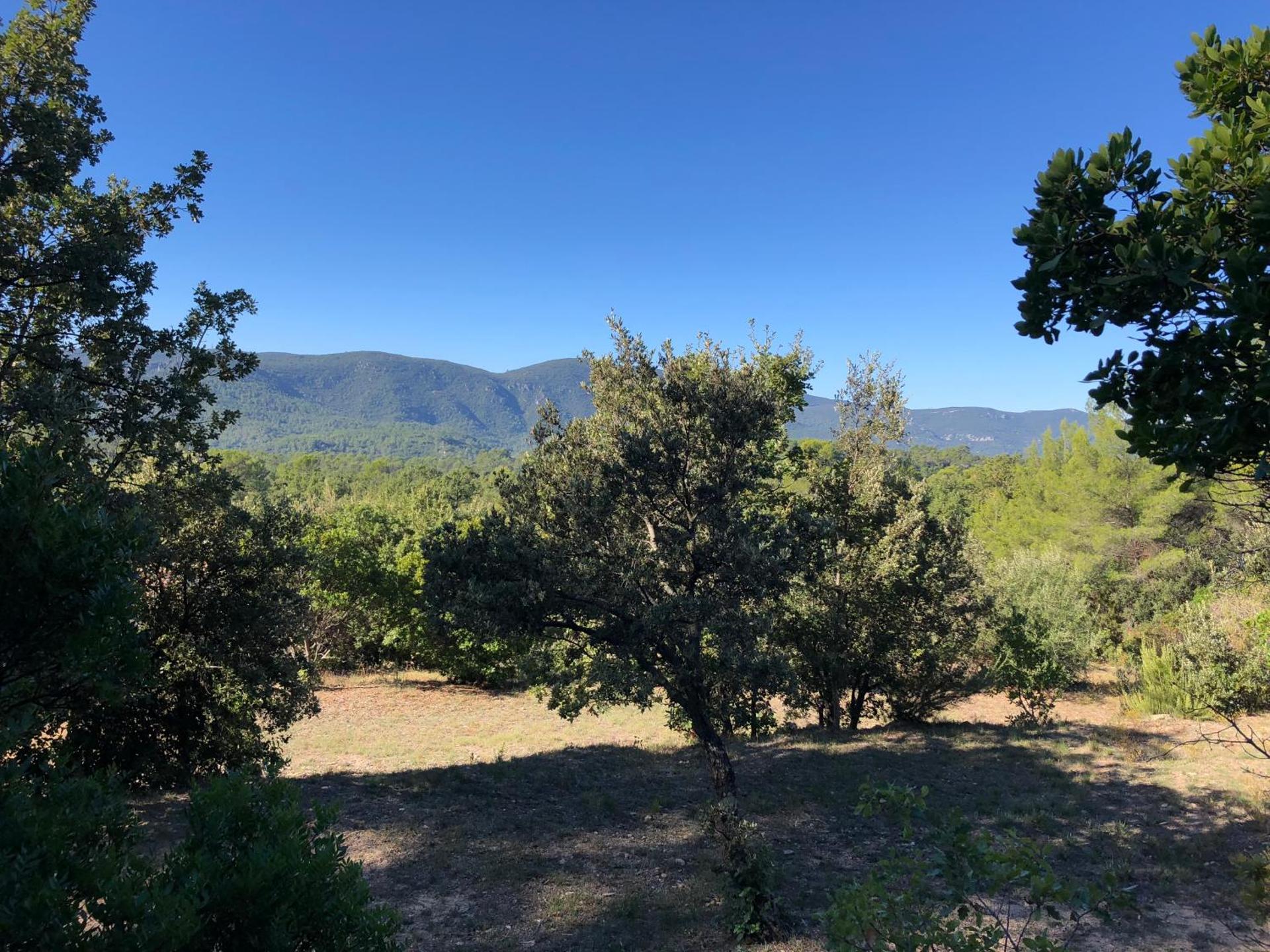 La Bergerie des Oliviers