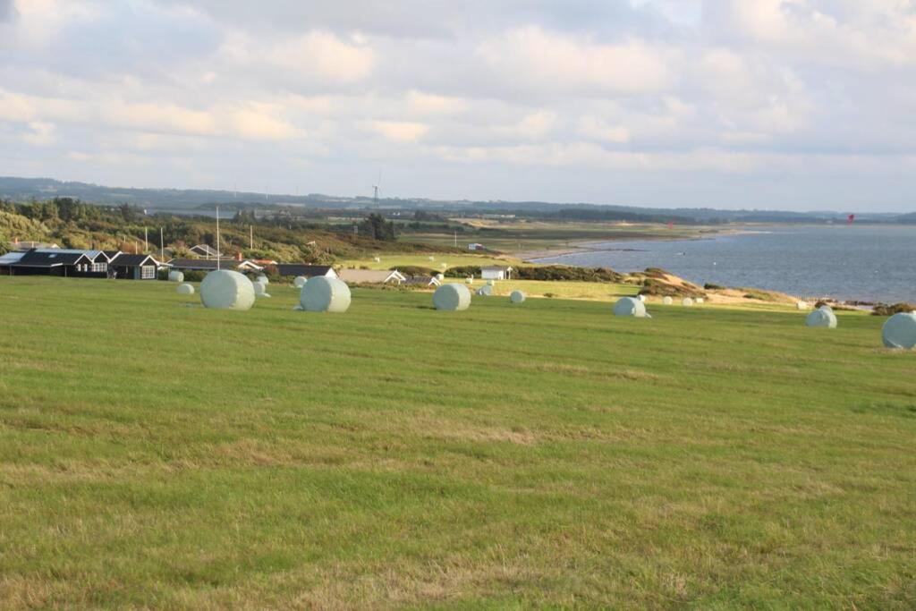 Beautiful and amazing view - 3 bedroom cottage