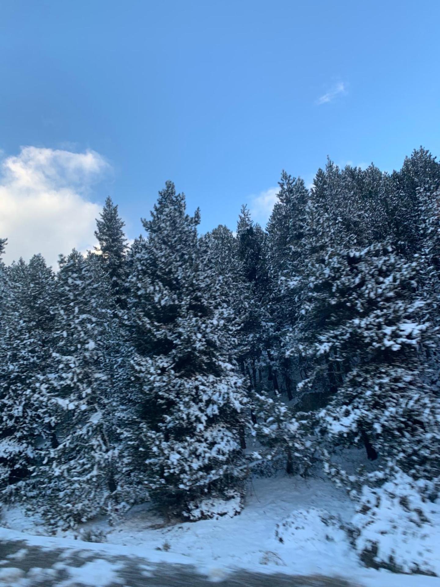 LA PERLE DES CAILLOUX EXCEPTIONNEL et COSY