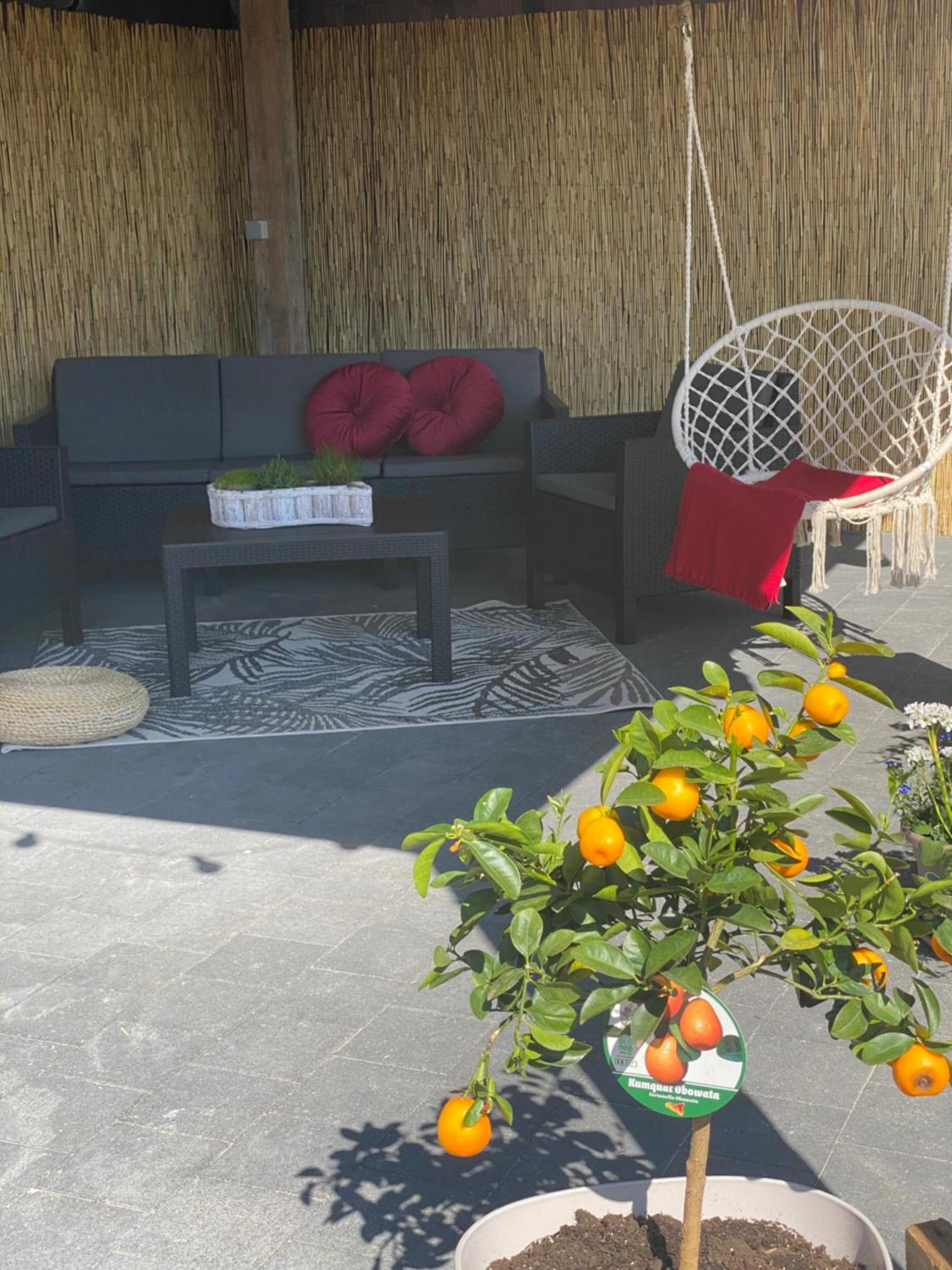 Appartement Blanc cocooning