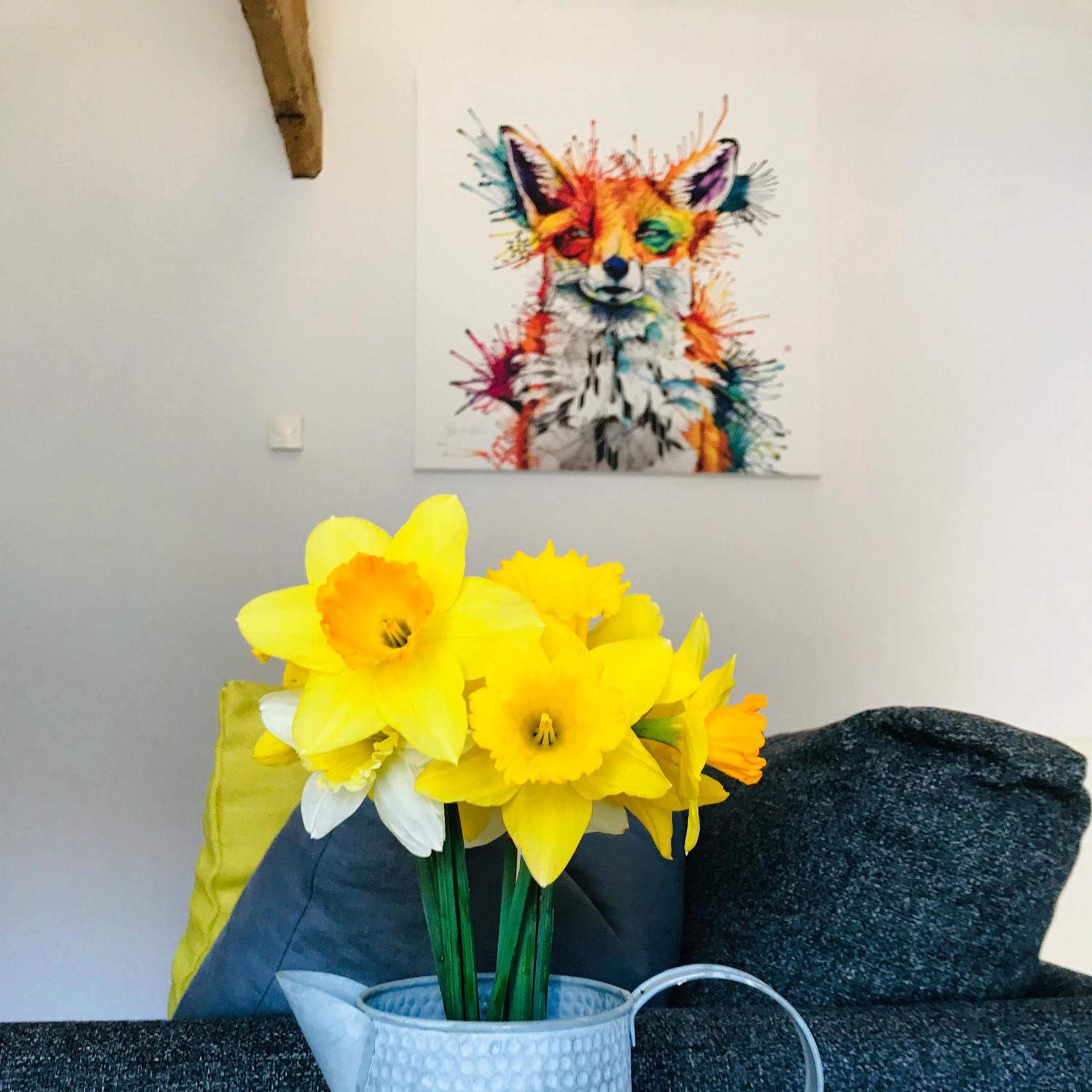 Elishaw Farm Holiday Cottages