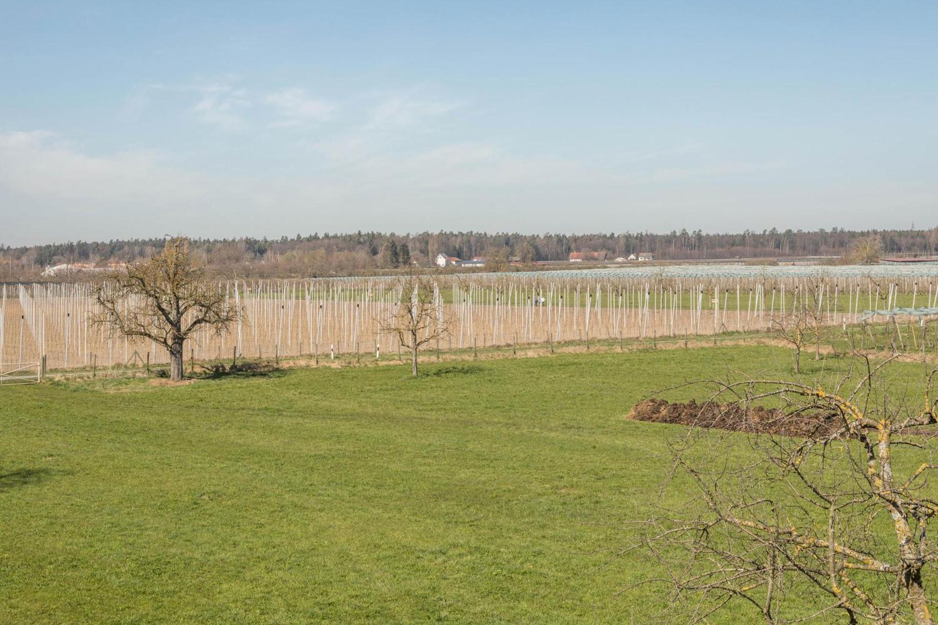 Ferienwohnung Monninger