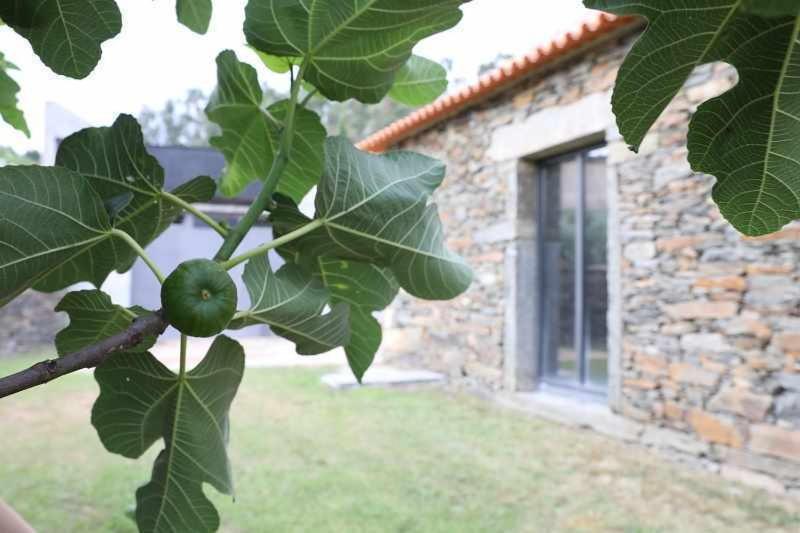 Quinta dos Avidagos AgroTurismo Mirandela