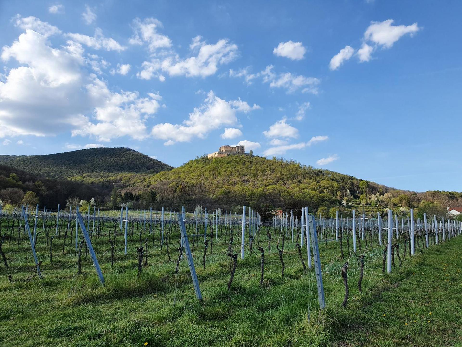 View (from property/room)