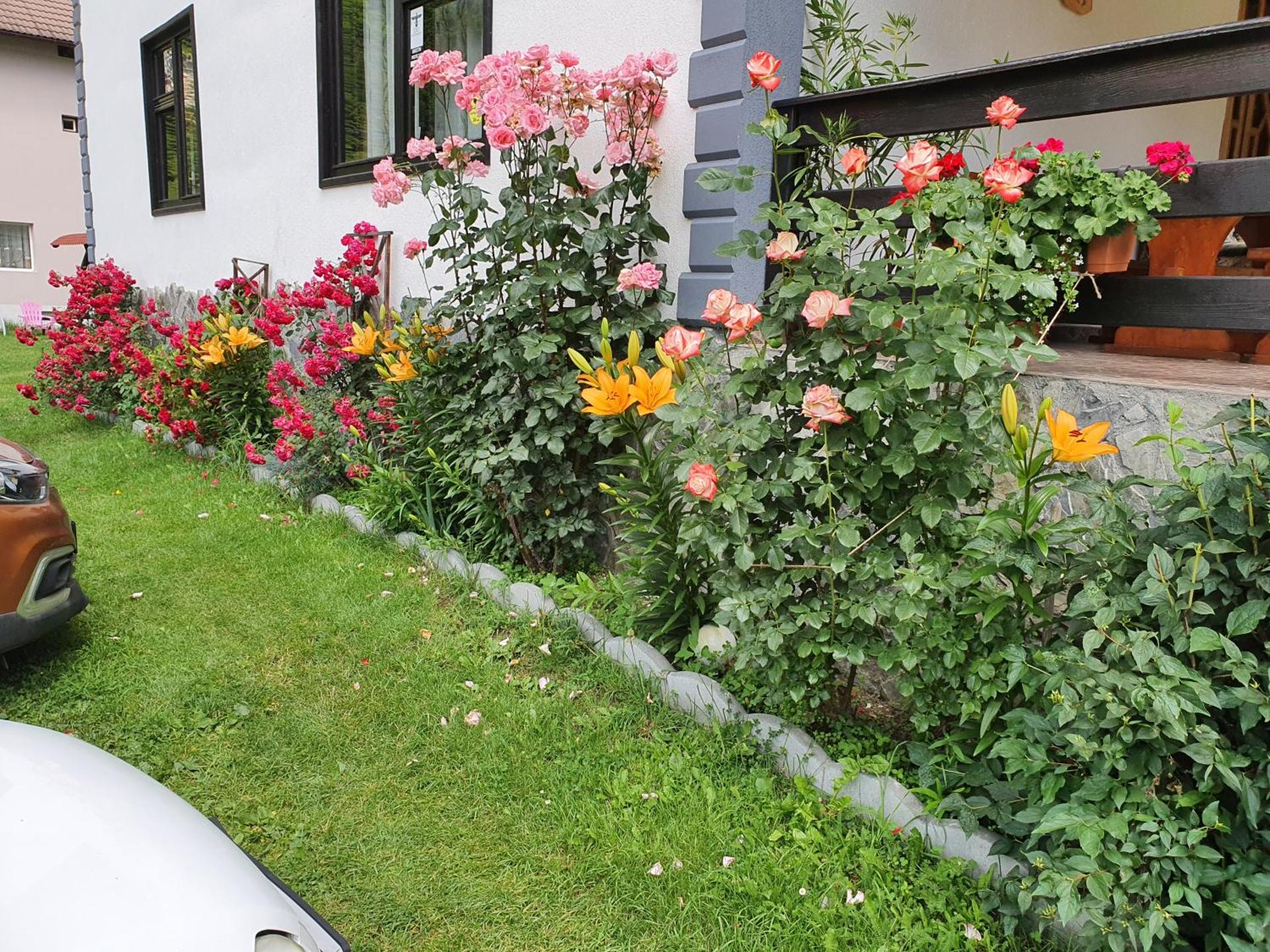 Pensiunea Cezar-Codrin