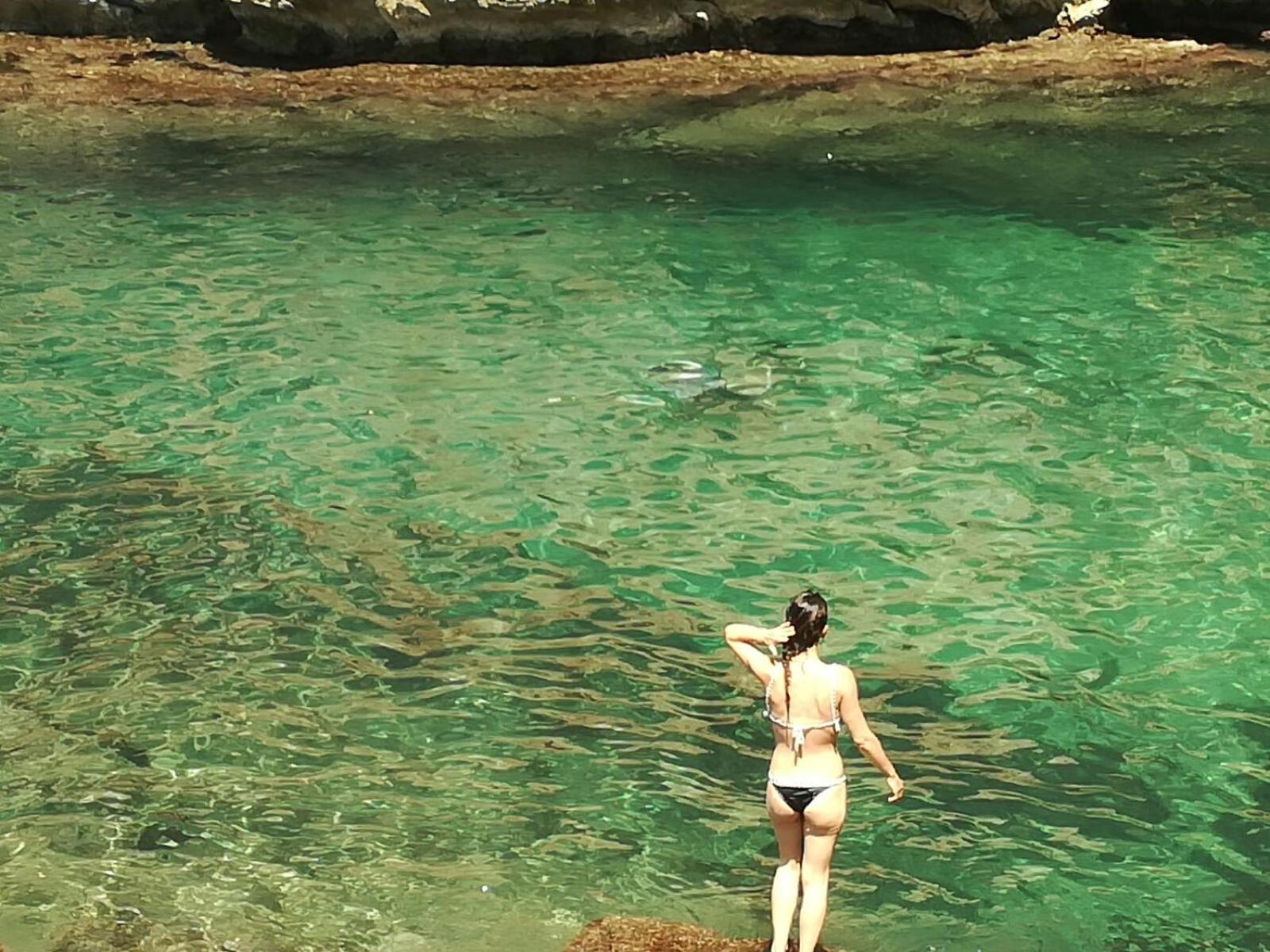 Terra Sinus Beautiful Suite