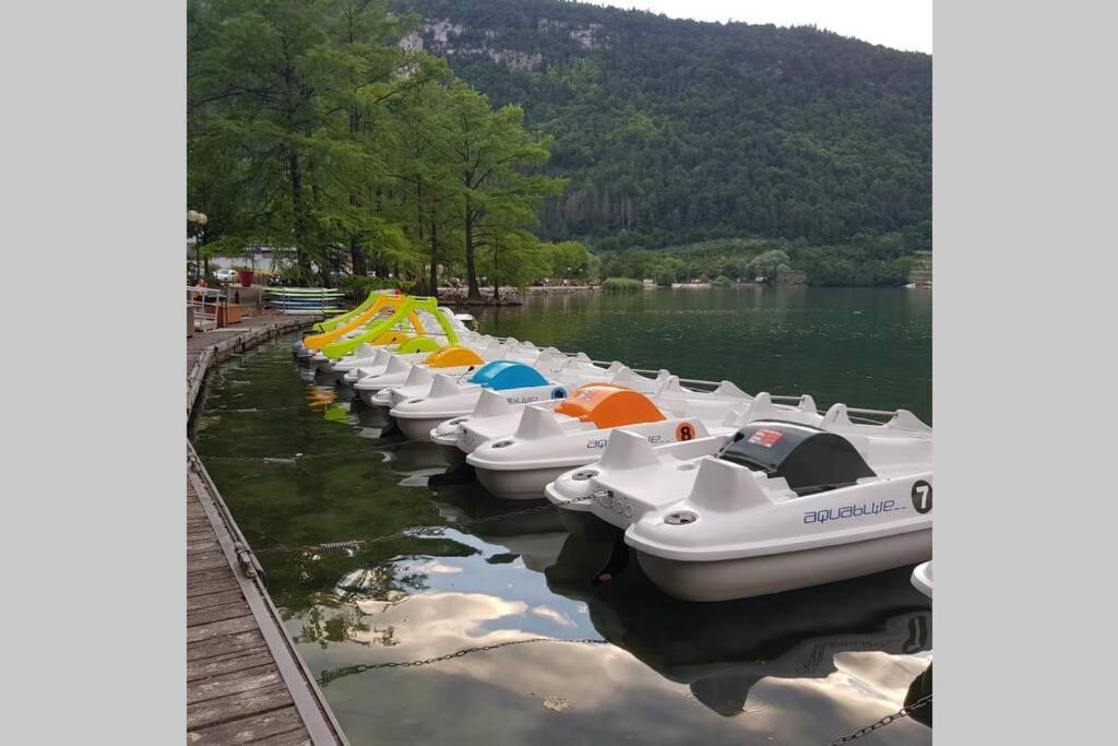 Les lunettes d'Oyo 01