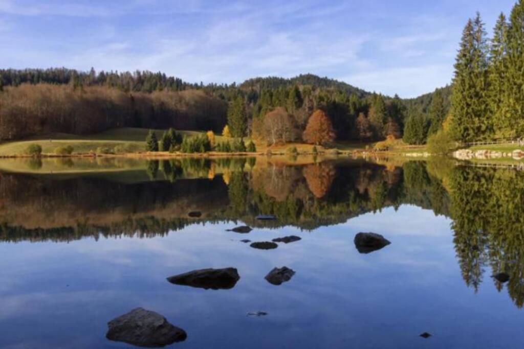 Les lunettes d'Oyo 01