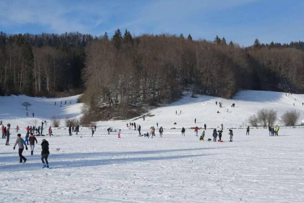 Les lunettes d'Oyo 01