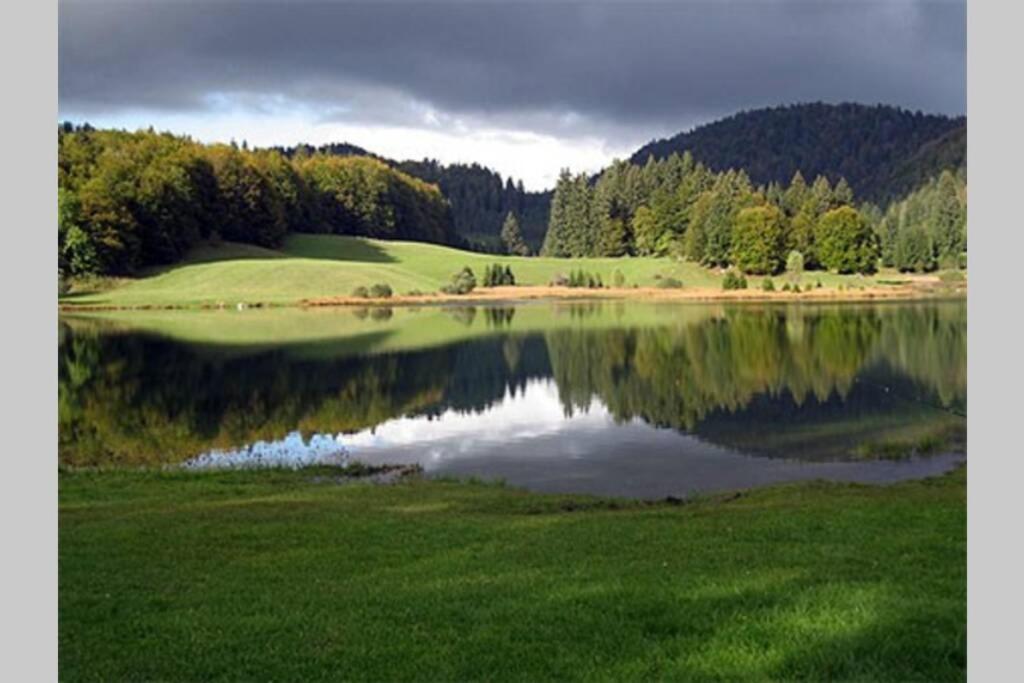 Les lunettes d'Oyo 01