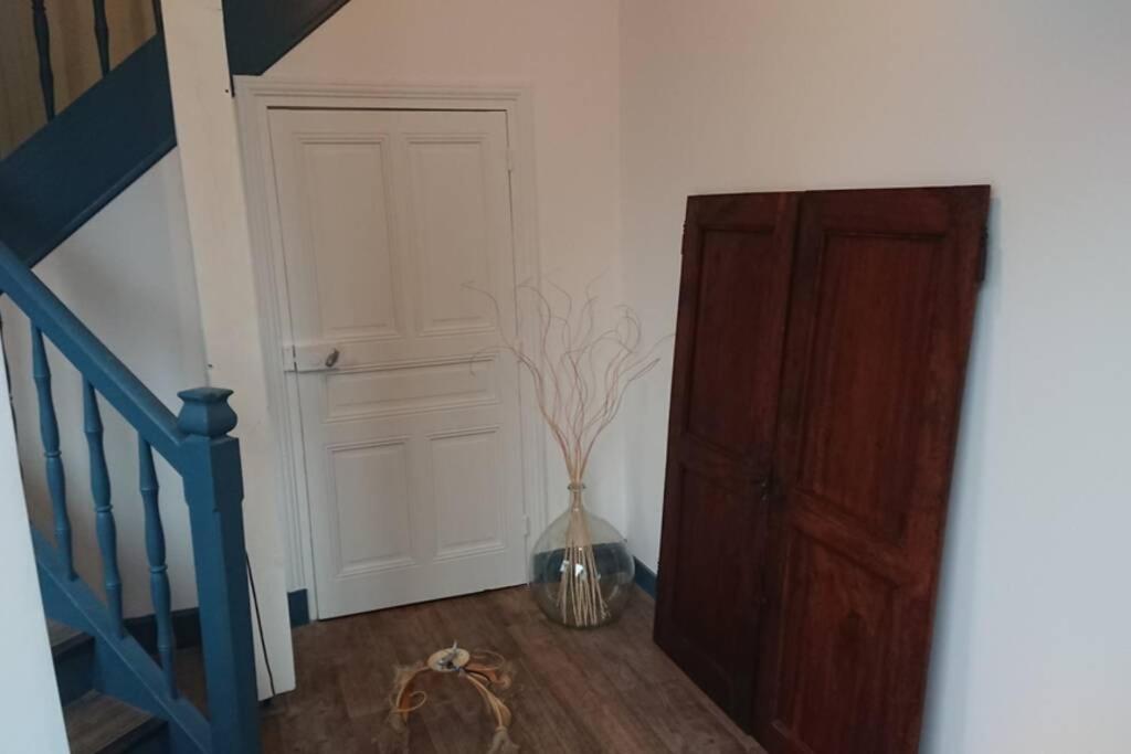 Les lunettes d'Oyo 01