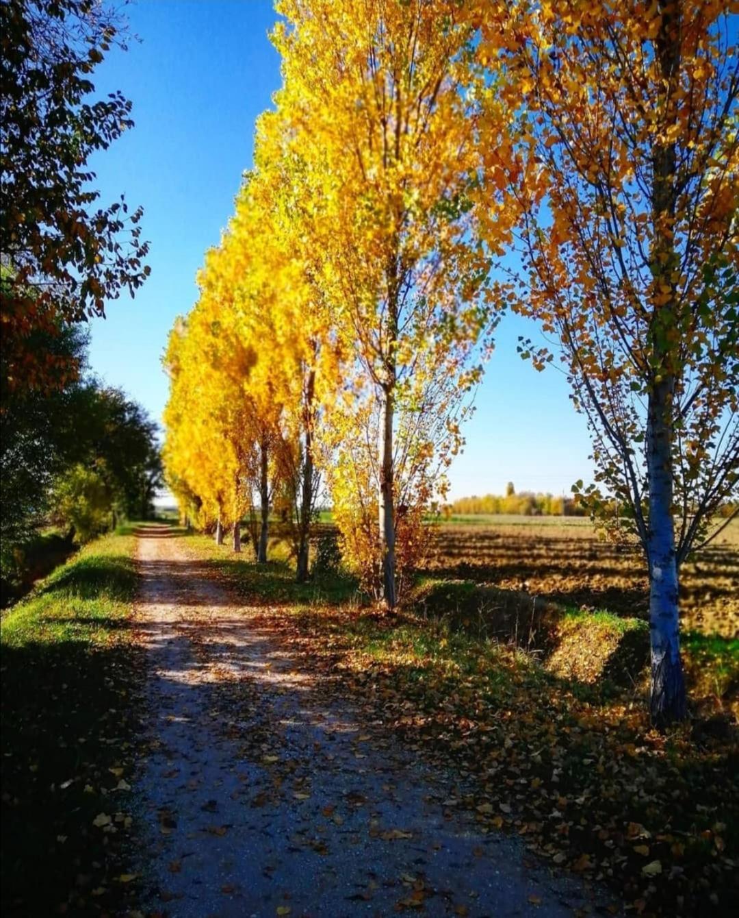 Agriturismo Colombera