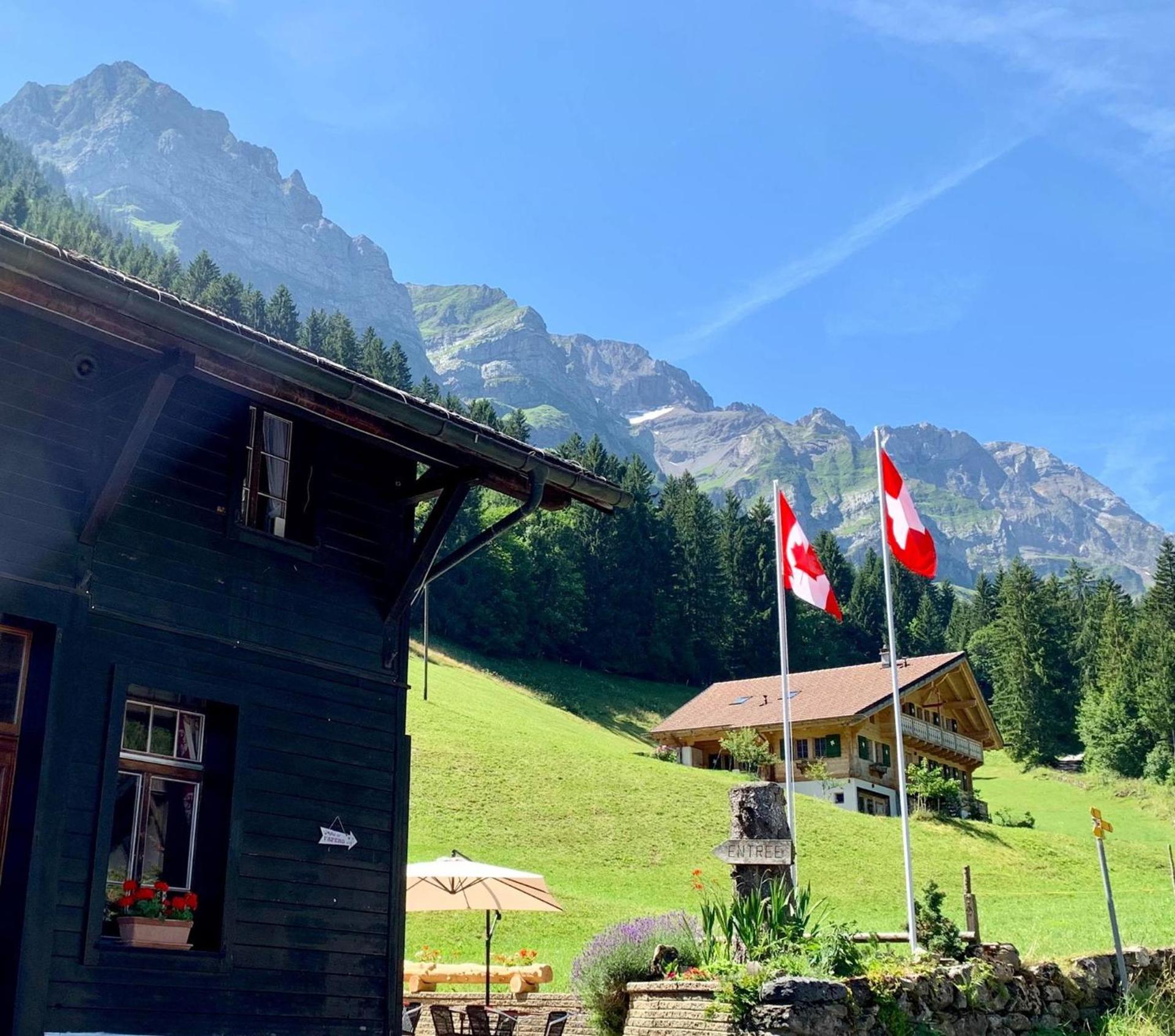 Guest House du Grand Paradis - On Piste
