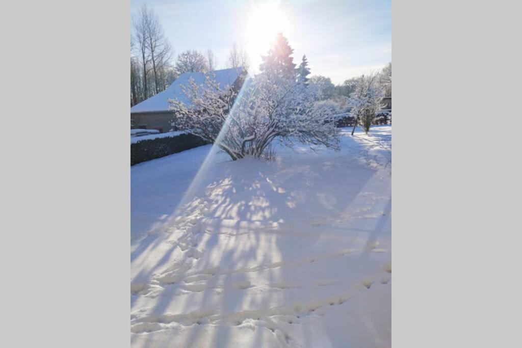 Le repaire Ardennais