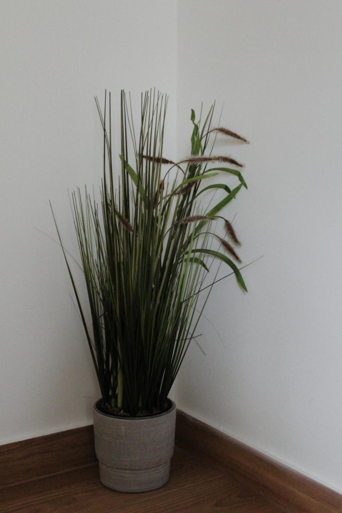 Altair Airport Apartman