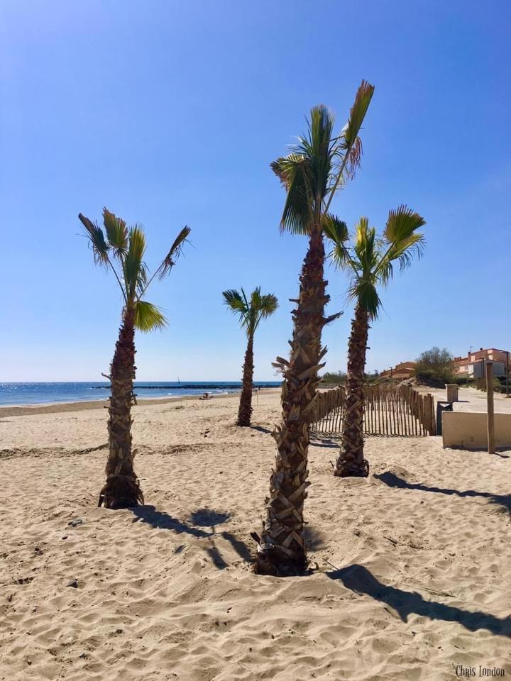 studio la grande roue VUE MAGNIFIQUE