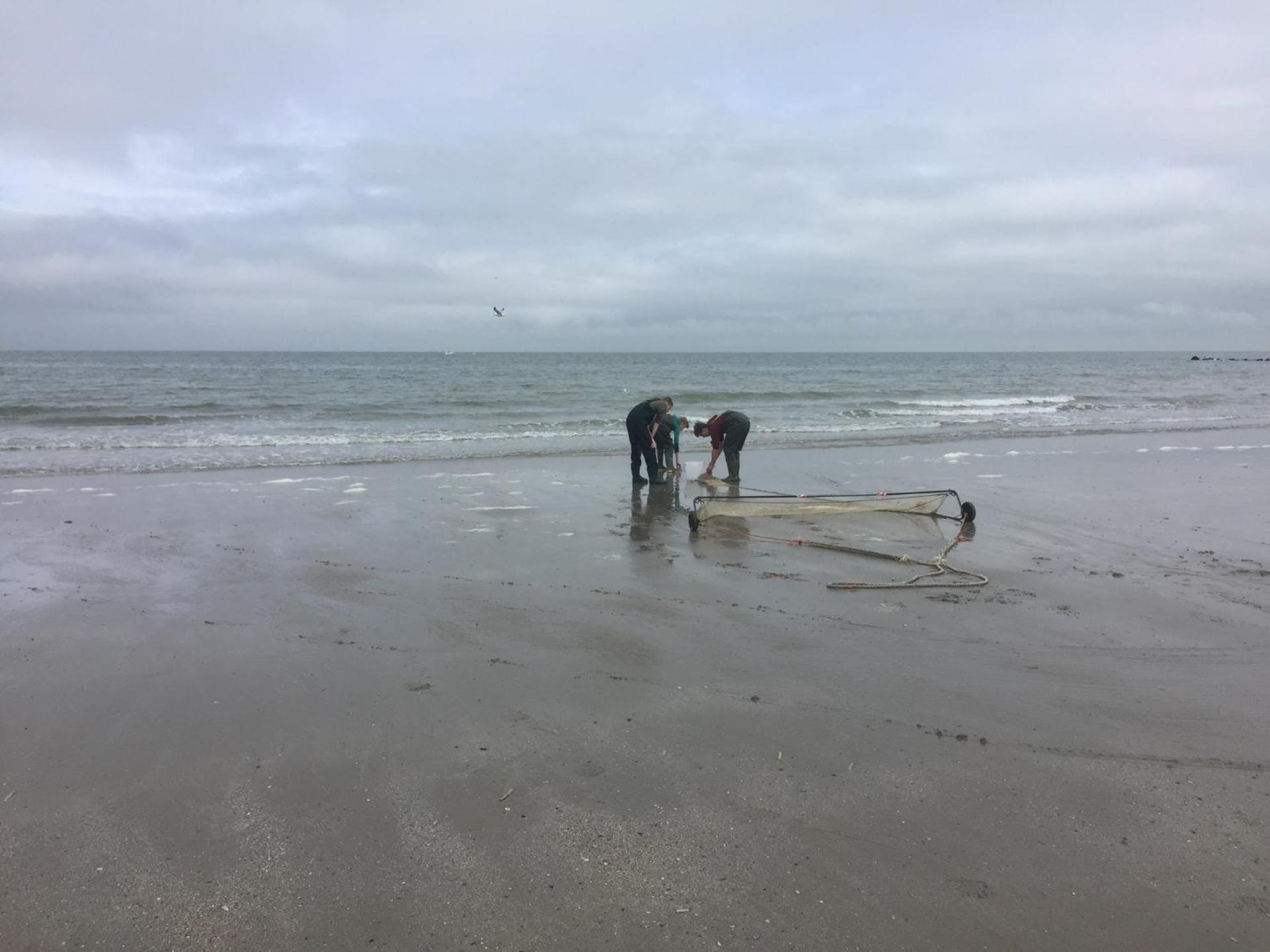 Harbourskitchenhouse@sea