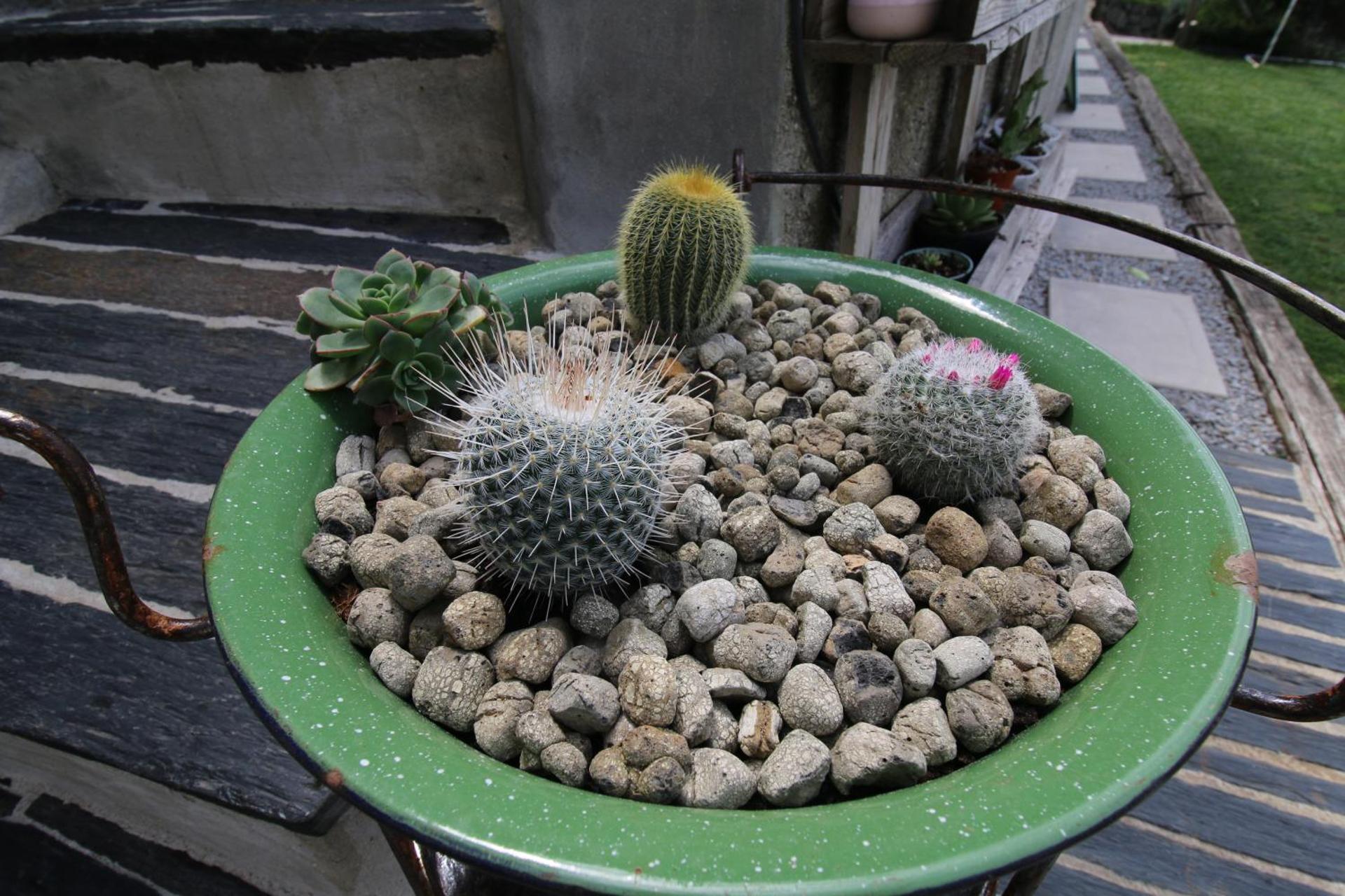 Douro Mesio Guest House