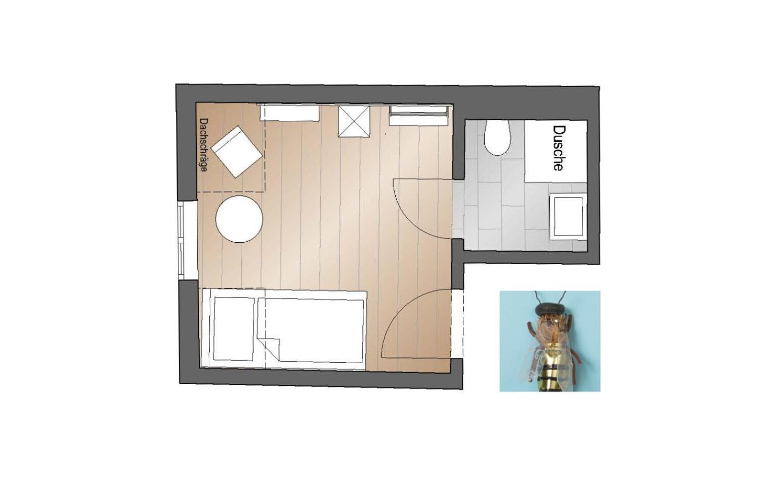 Photo of the whole room