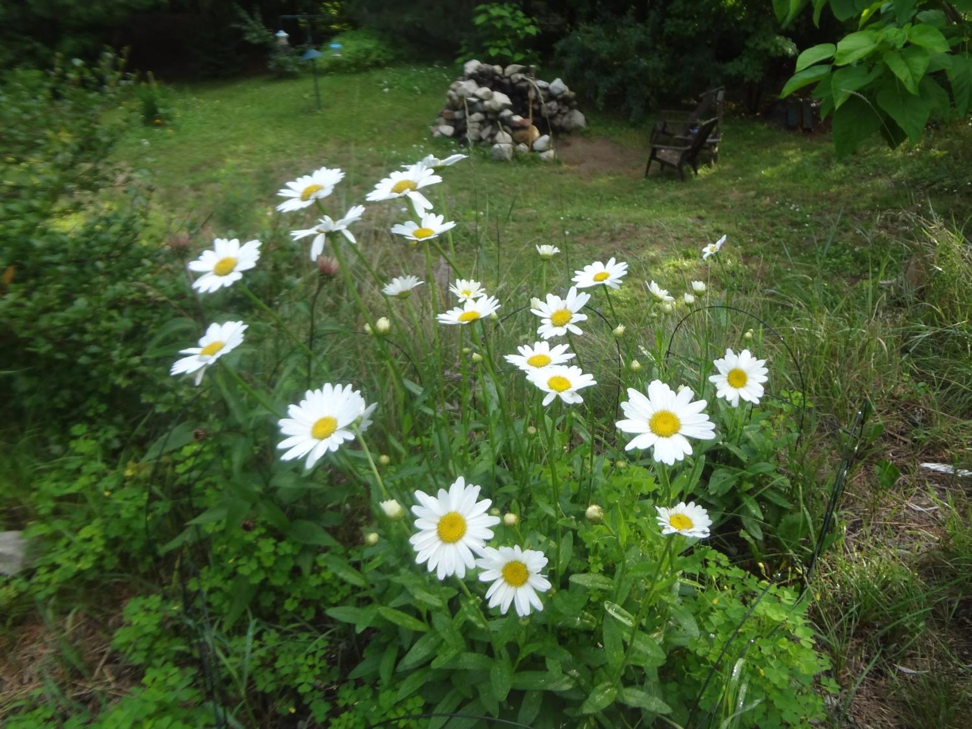 Au Clochard Céleste