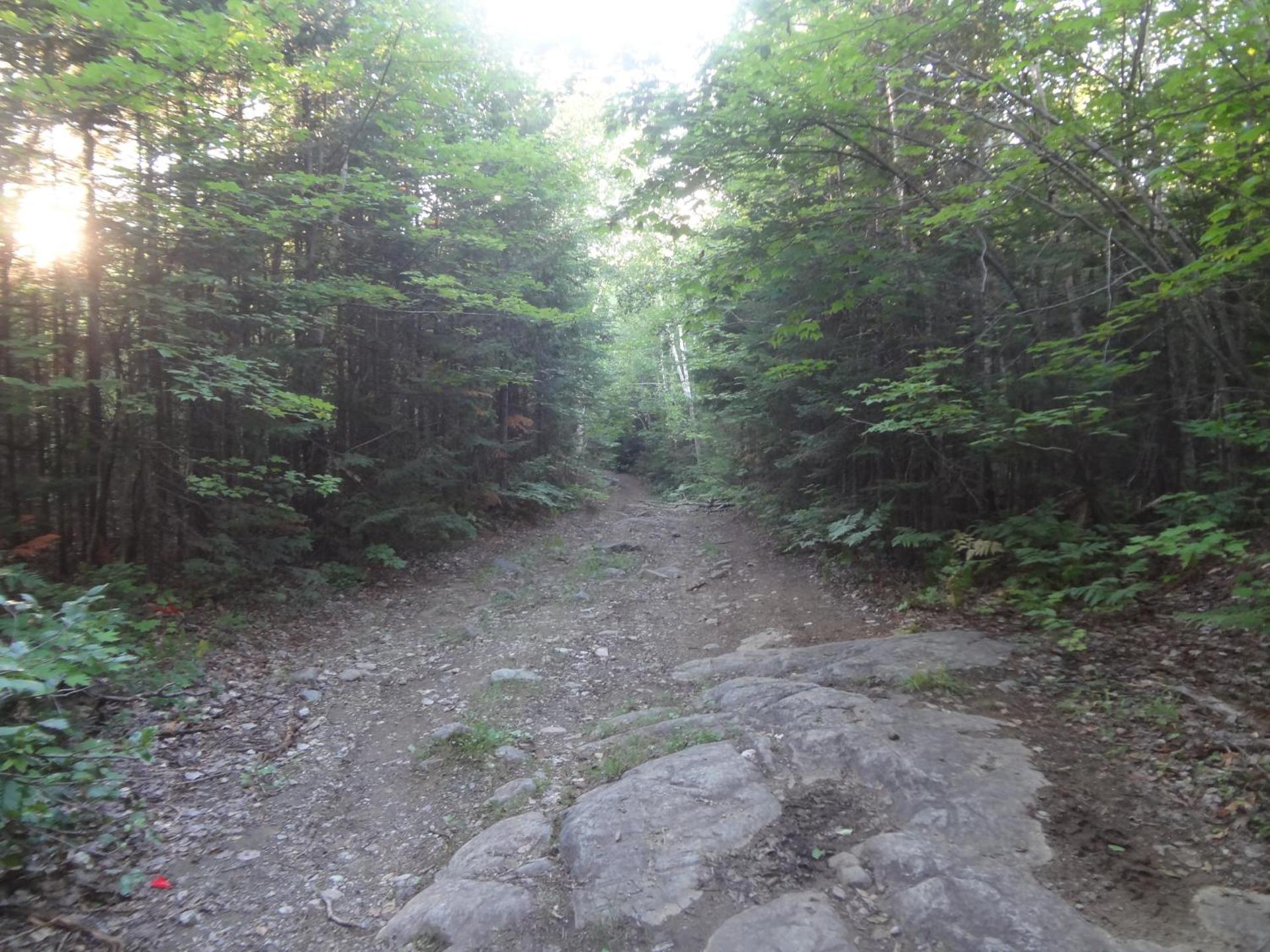 Au Clochard Céleste