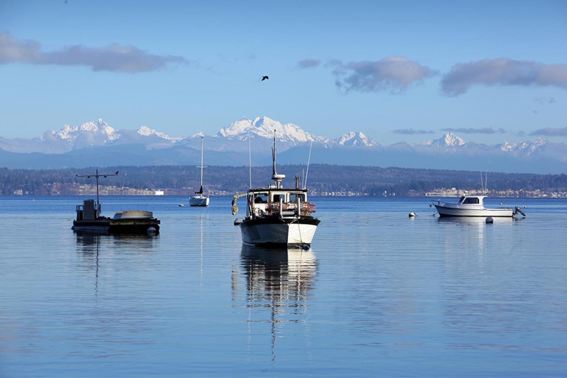 Cozy Cottage by the Sea