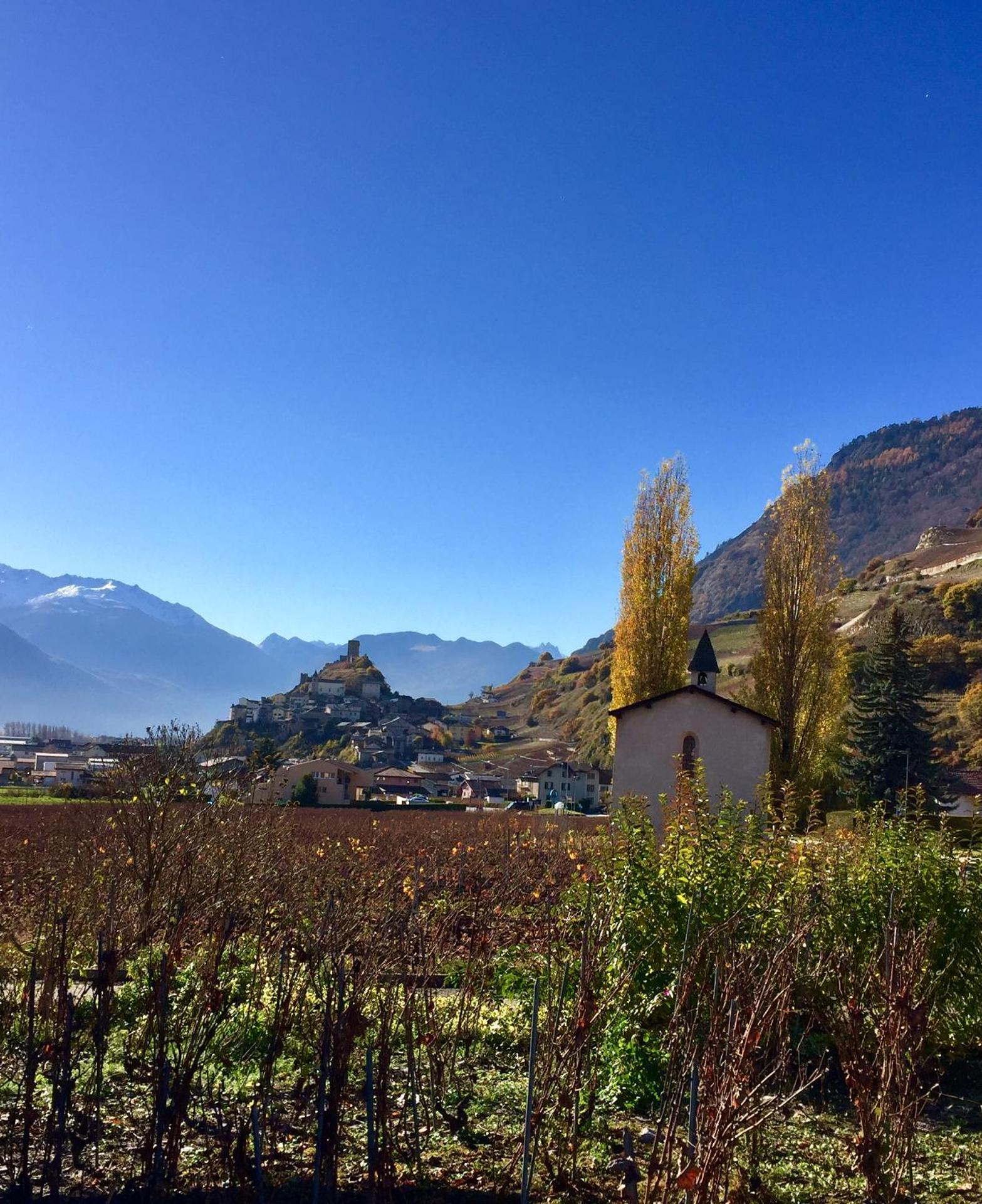 Saillon Evasion Sarl