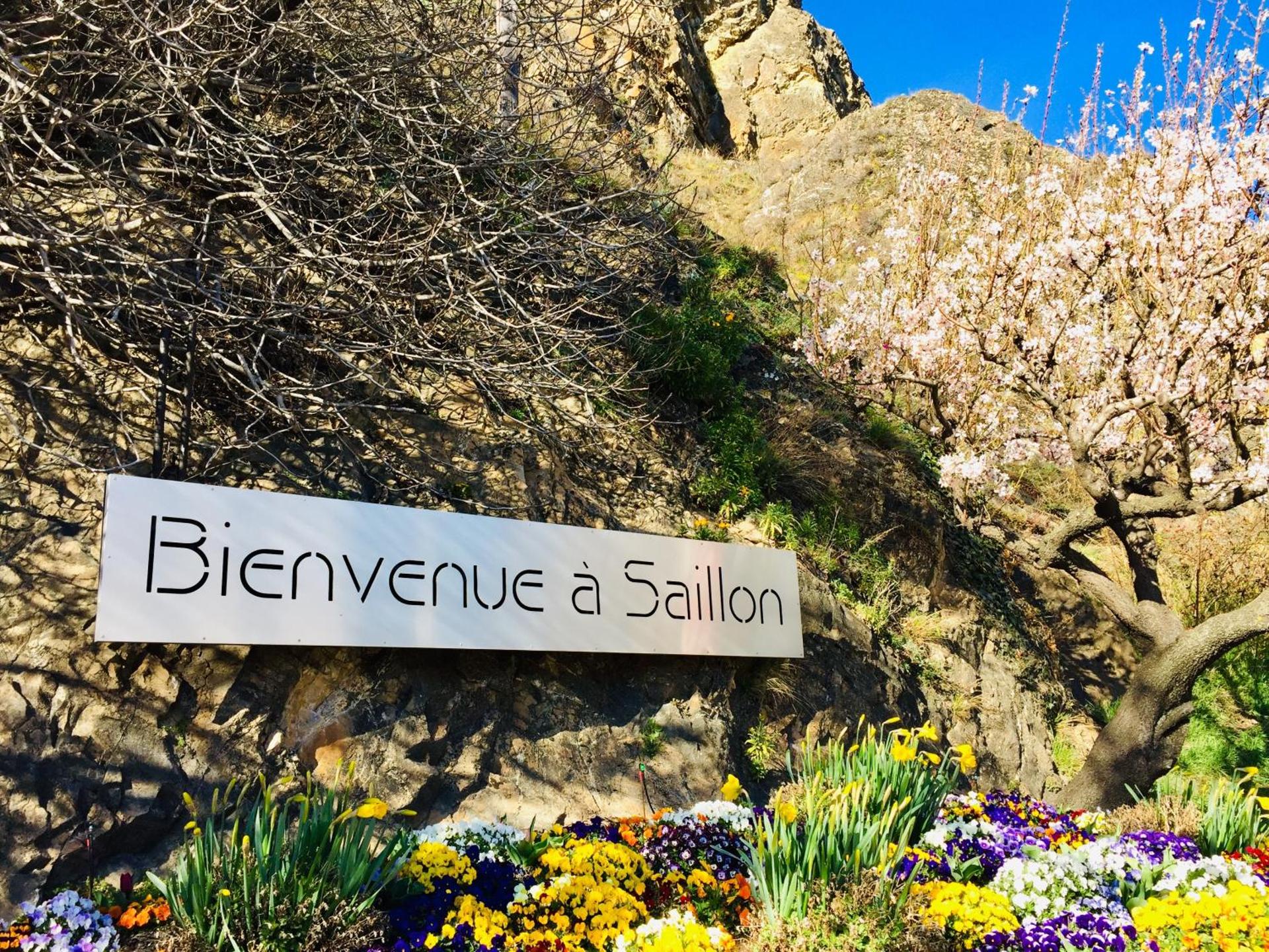 Saillon Evasion Sarl