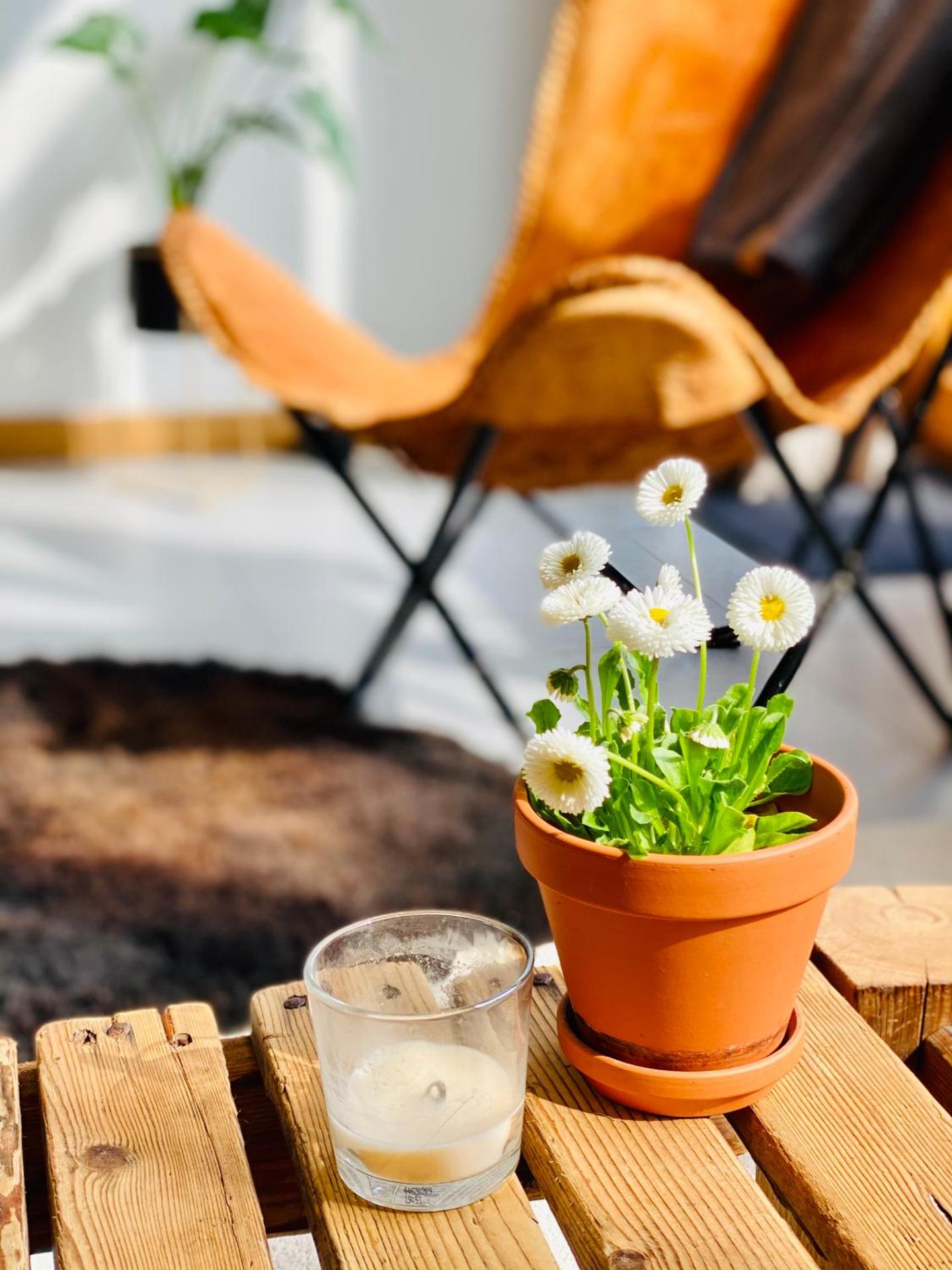 Apartamenty Piwniczna