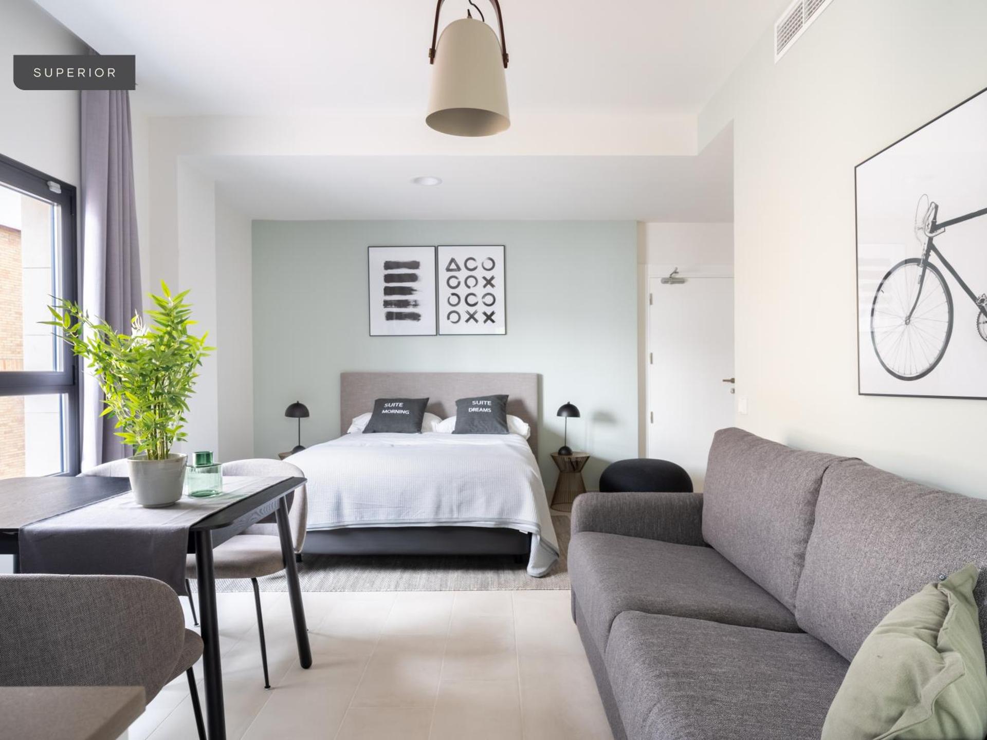 Photo of the whole room