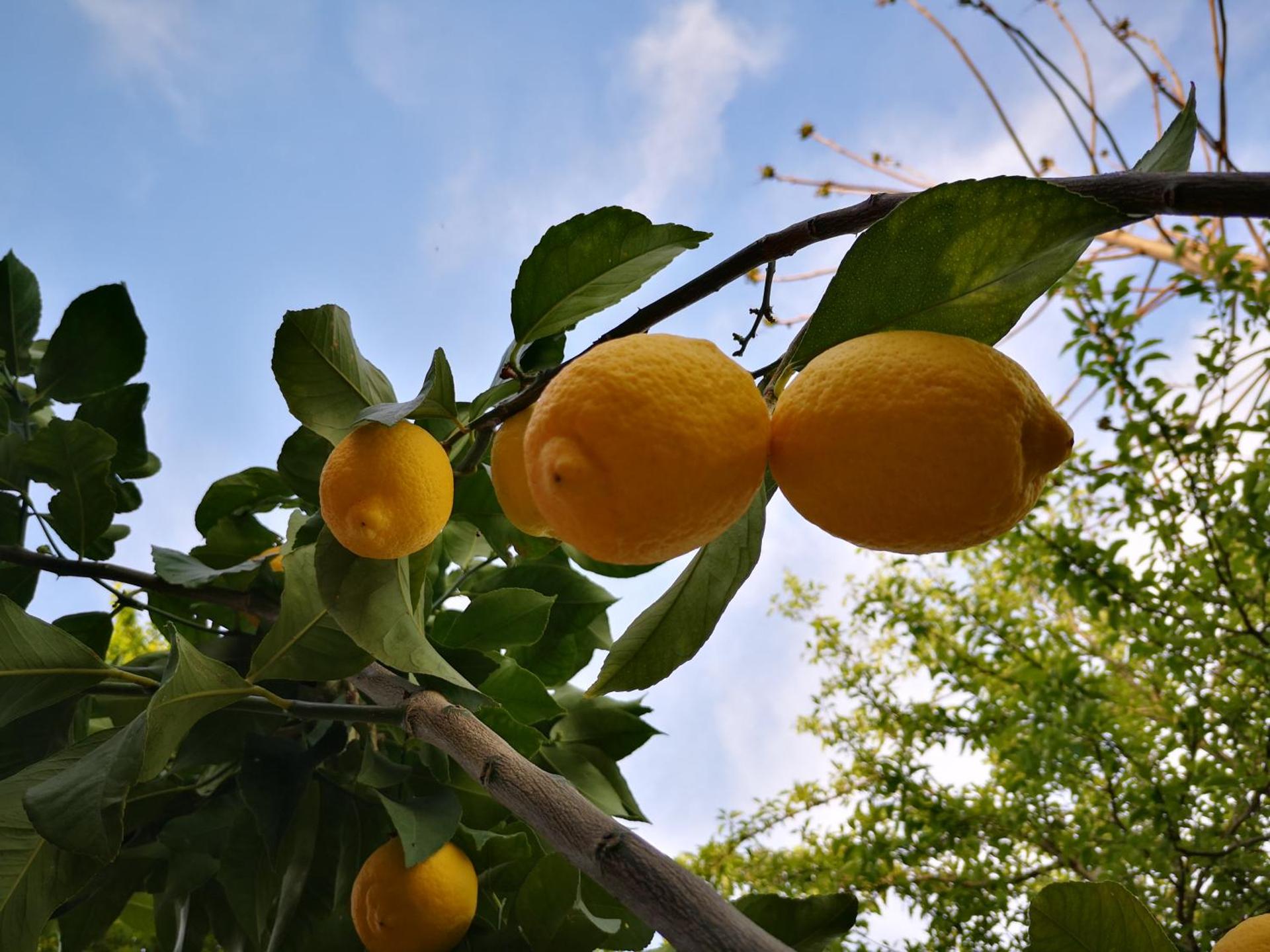 Agriturismo grecinella