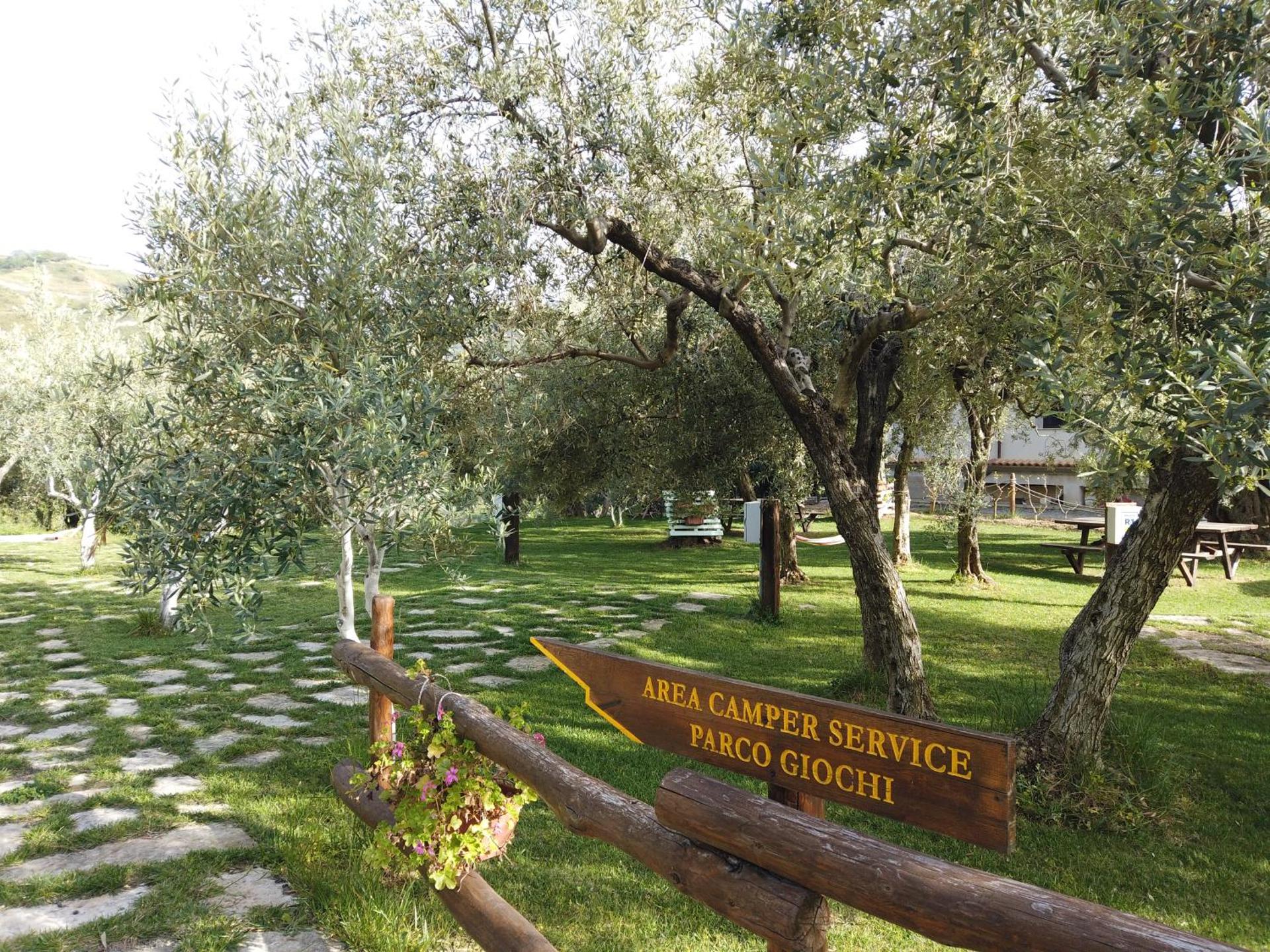 Children play ground