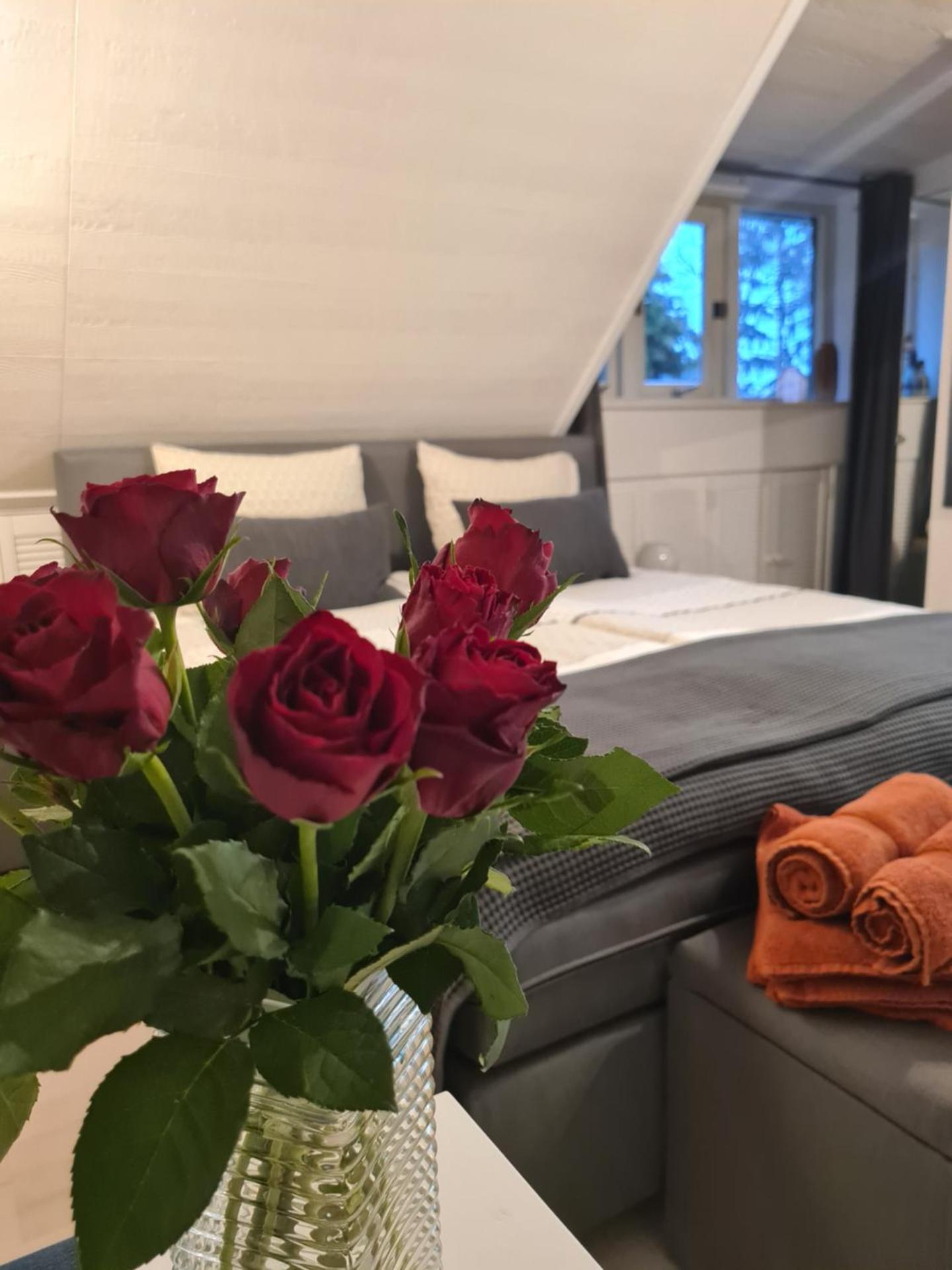 B&B De Loenense Bossen