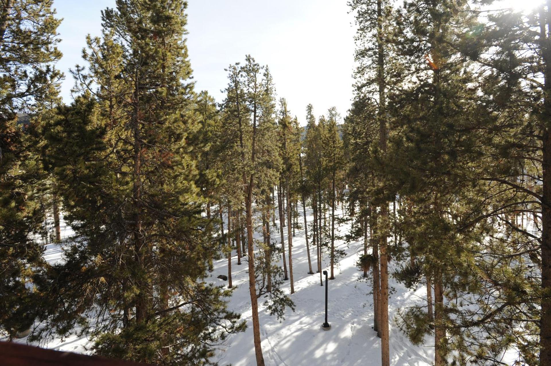 View (from property/room)