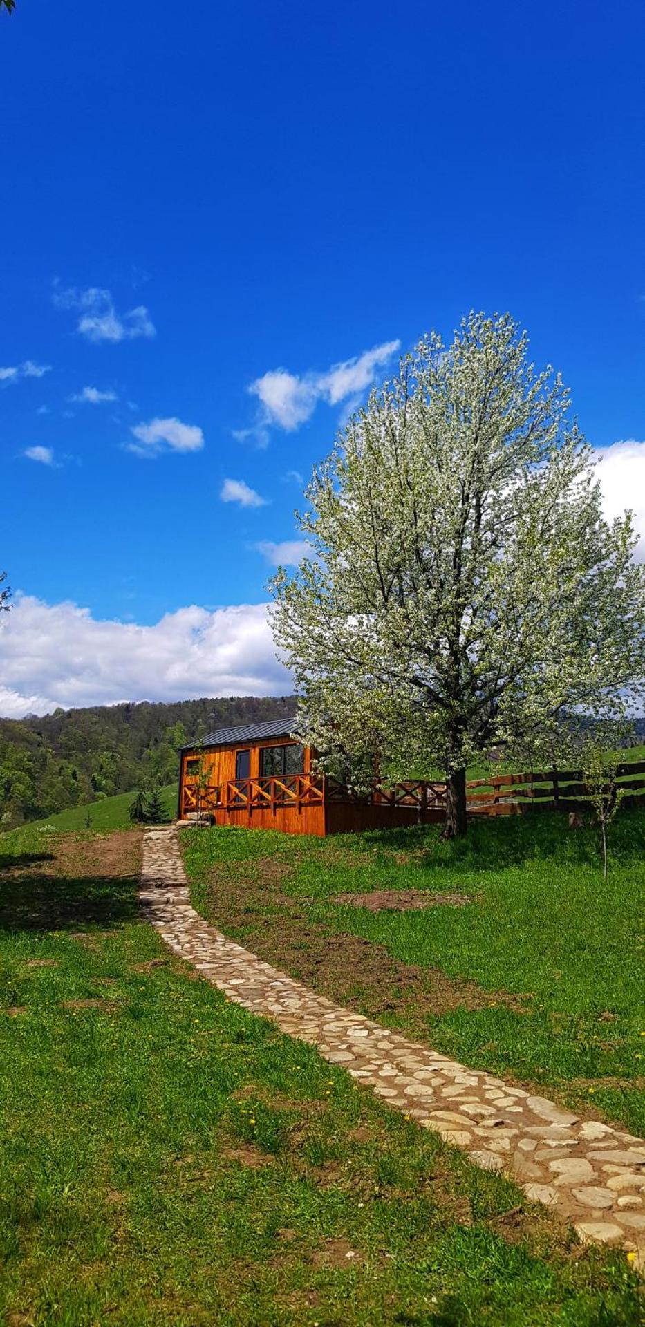 Căsuța de sub cireș