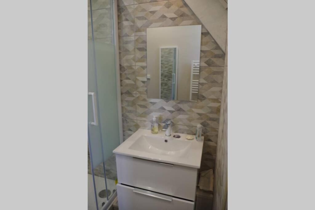 Les Mansardes du centre ville ,vue Loire