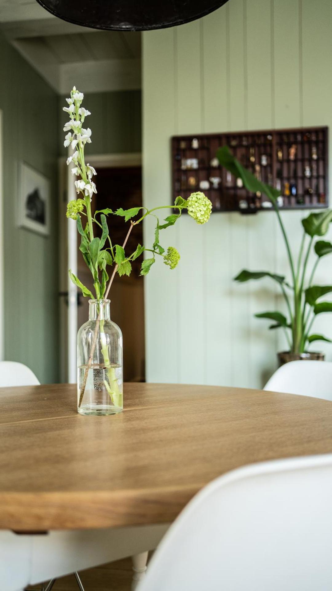 Traditional family apartment with garden at countryside Amsterdam