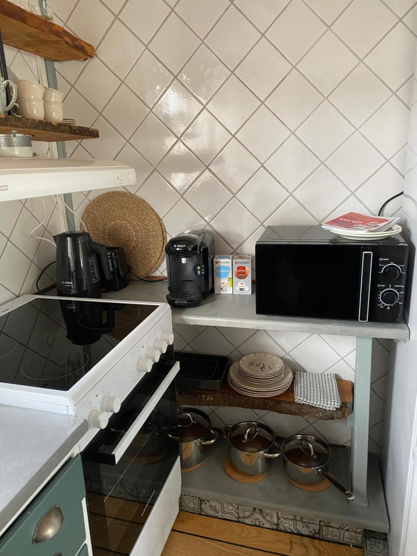 B&B Bland ormbunkar och rosor