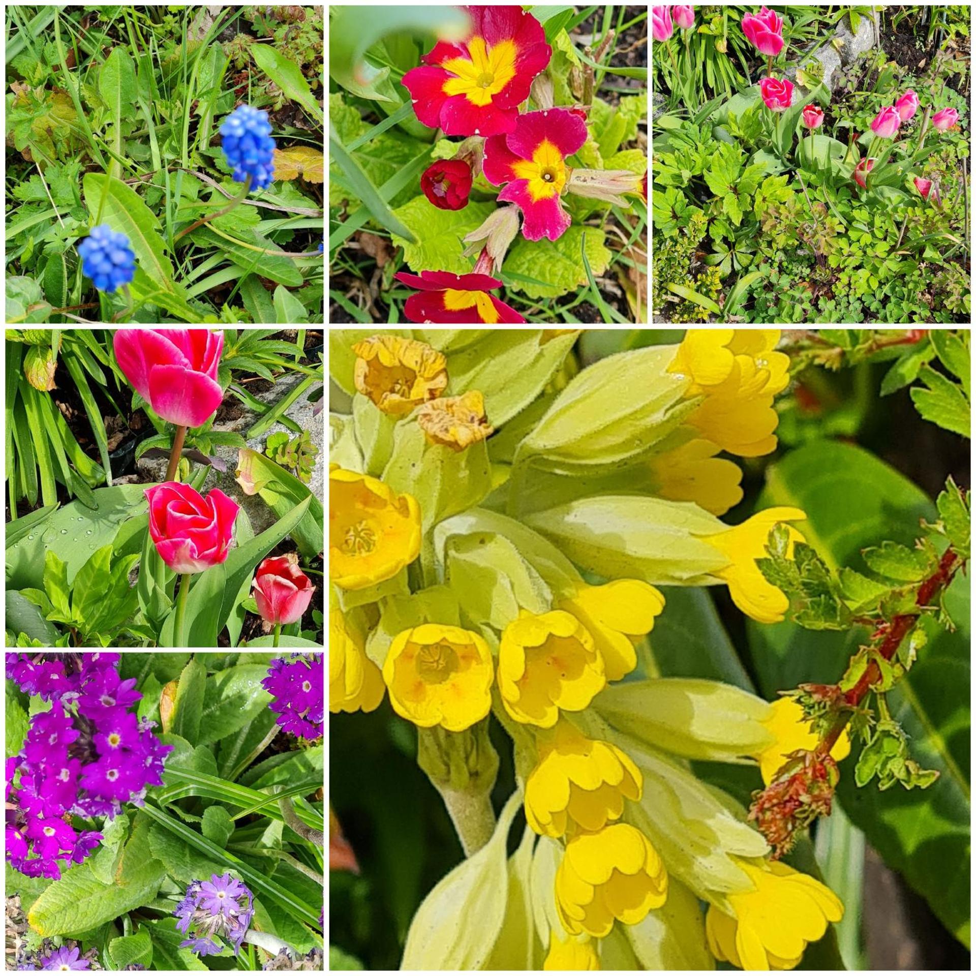 Deeside Holiday Cottages