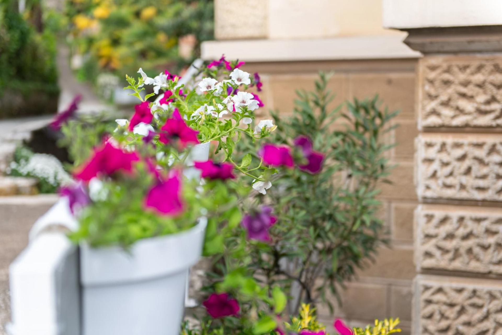 Studio Apartment Vittoria