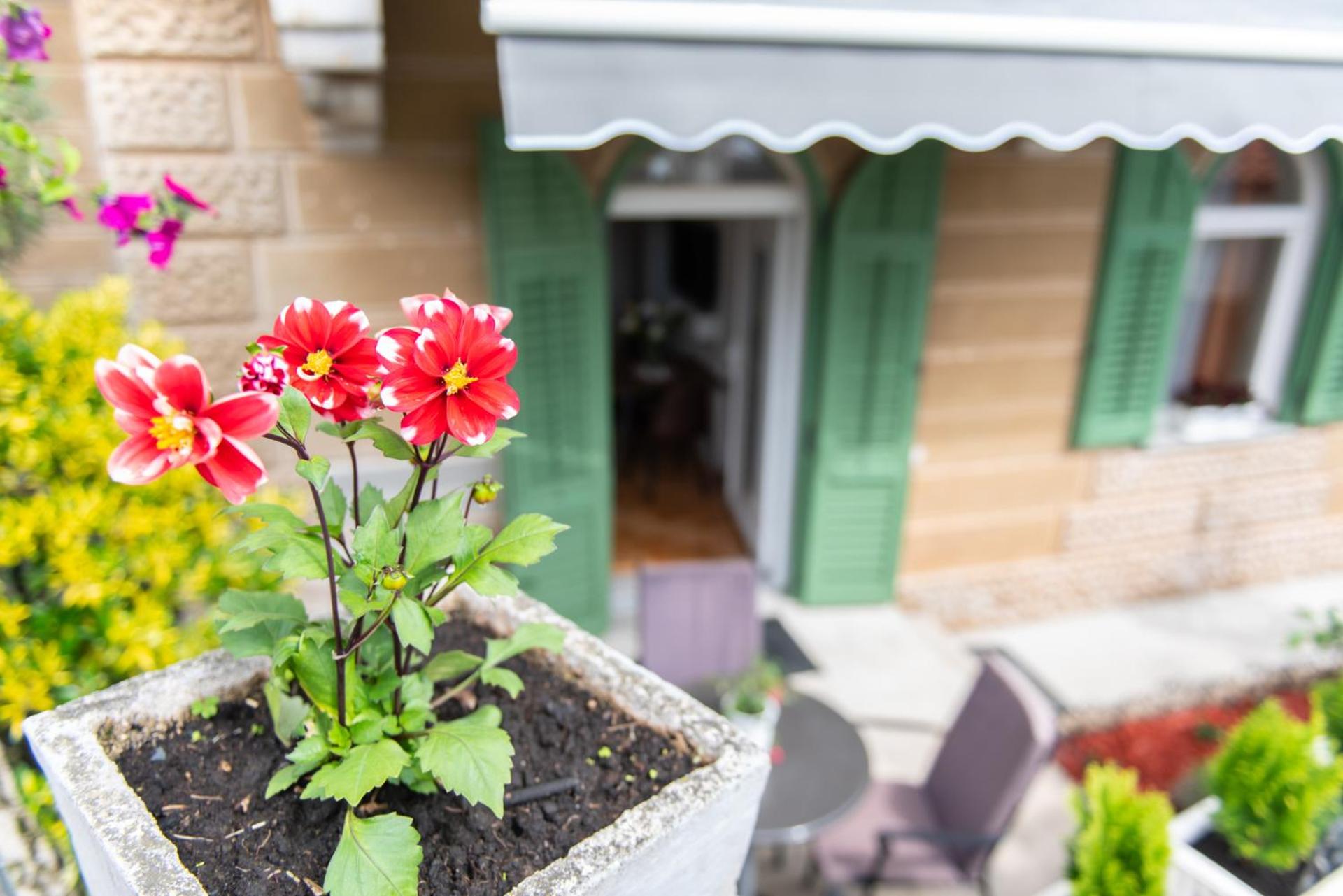 Studio Apartment Vittoria