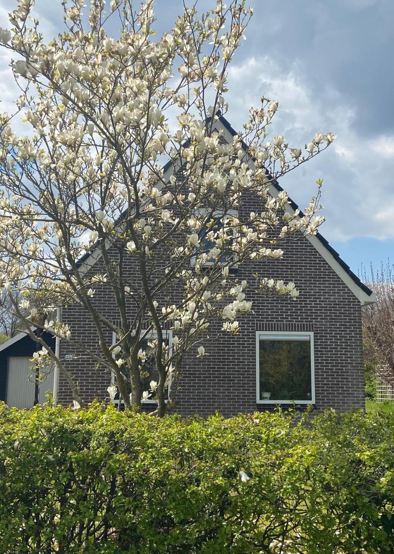 Knusse vakantiewoning Valthe