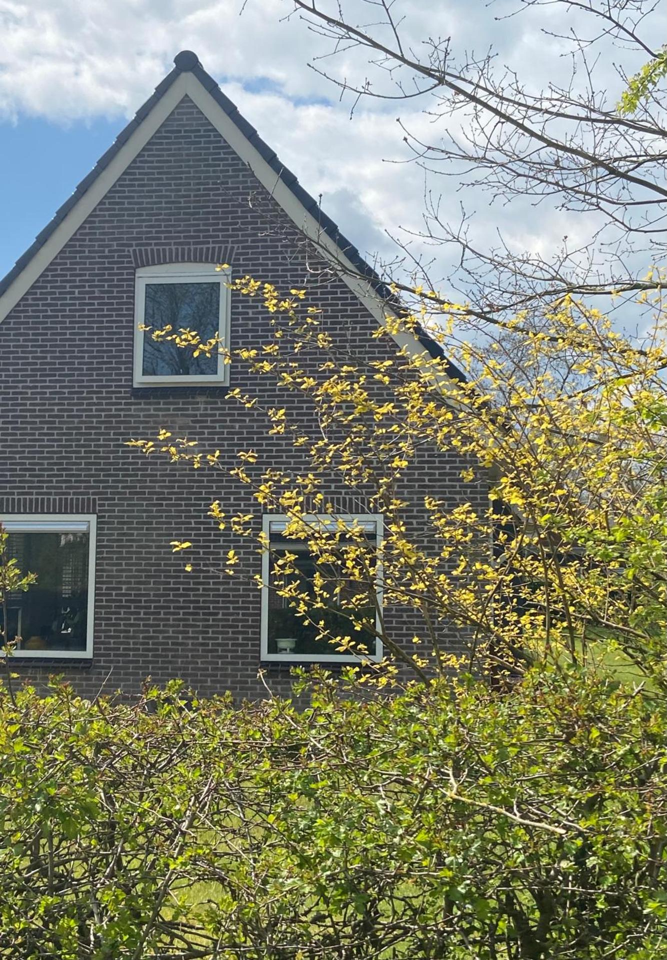 Knusse vakantiewoning Valthe